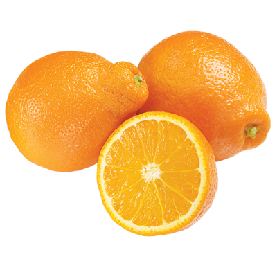 Minneola Oranges