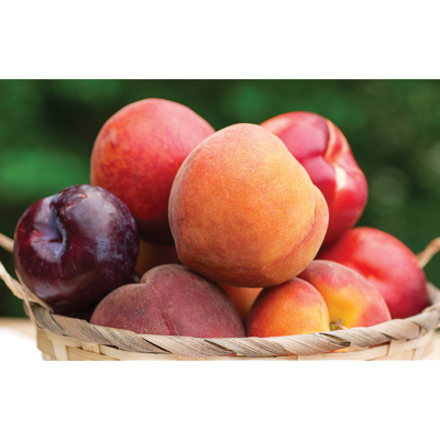 California Peaches or Nectarines