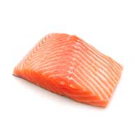 Salmon