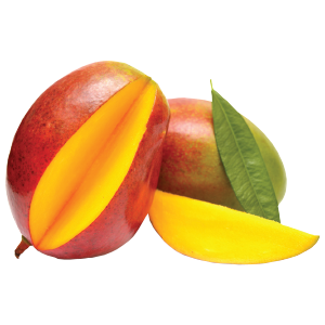 Extra Large Mango