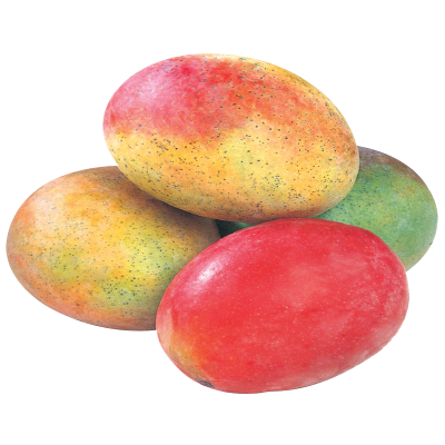 Jumbo Mangos
