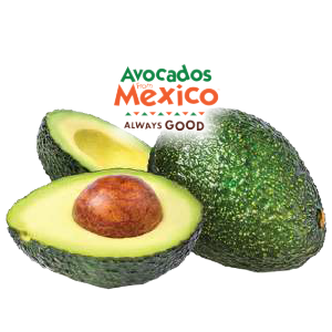 Large Avocado