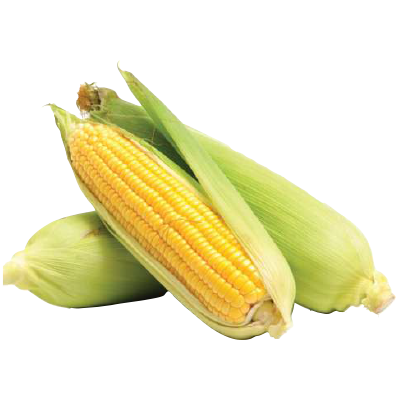 Fresh Corn