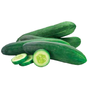 Large Cucumbers