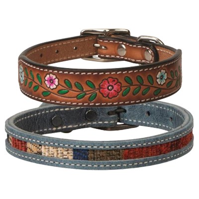 All Pet Collars and Leashes