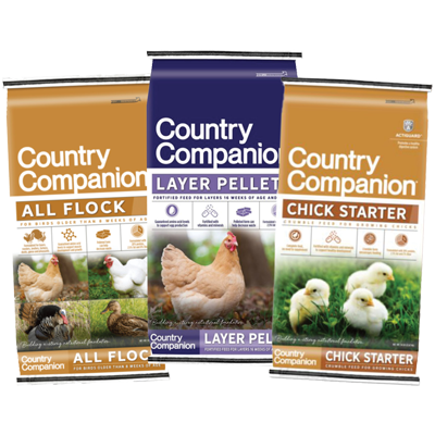 Country Companion Poultry Feeds